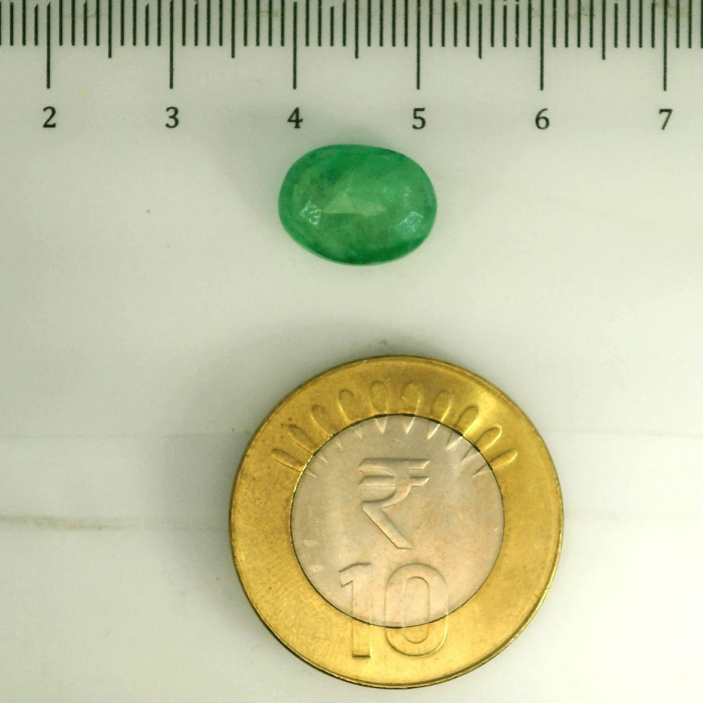 AGR_88375_SCALE.webp
