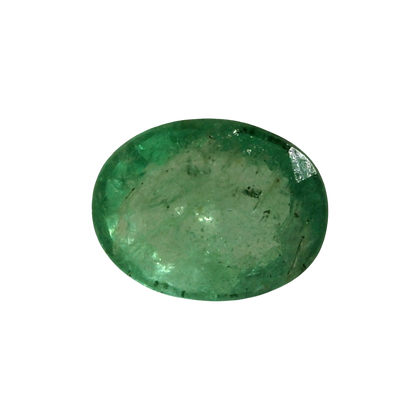 AGR_88384_FRONT.png