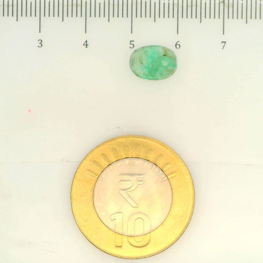 AGR_88388_SCALE.webp