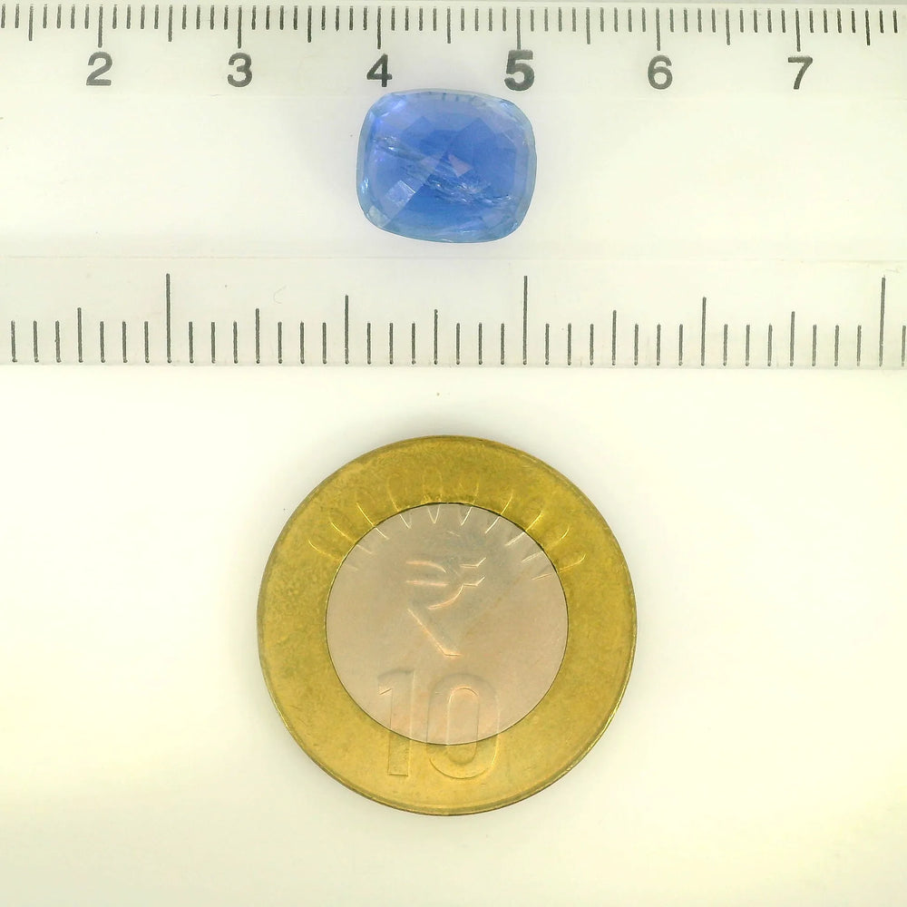 CDC_2502414_SCALE.webp