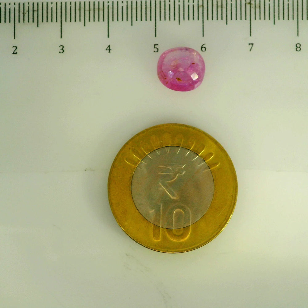 GFCO_39059_15_SCALE.webp