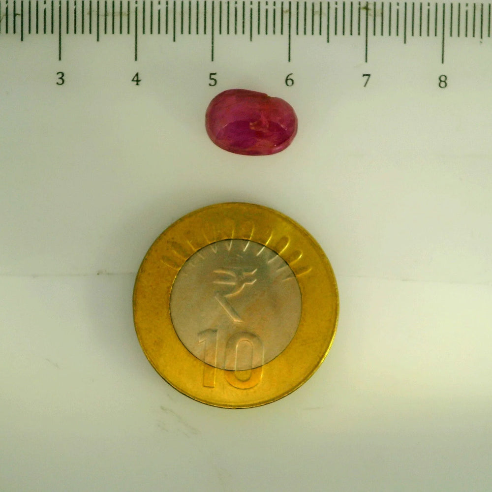 GFCO_39059_18_SCALE.webp
