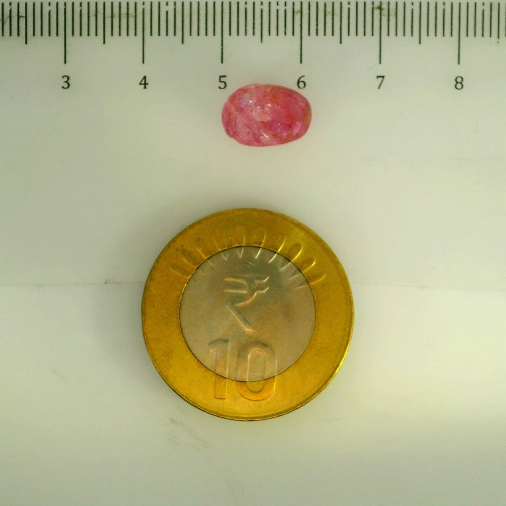 GFCO_39059_21_SCALE.webp