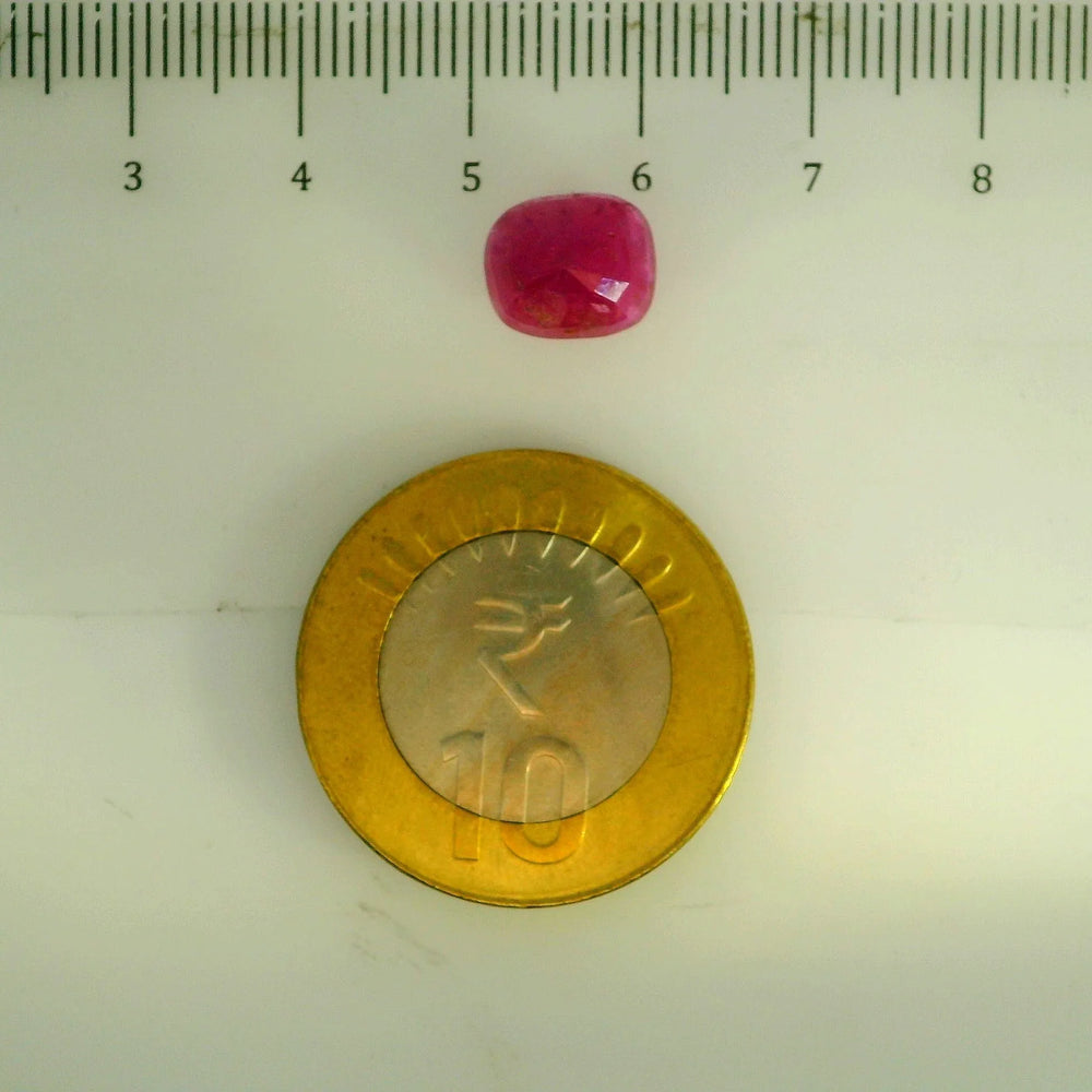 GFCO_39059_24_SCALE.webp