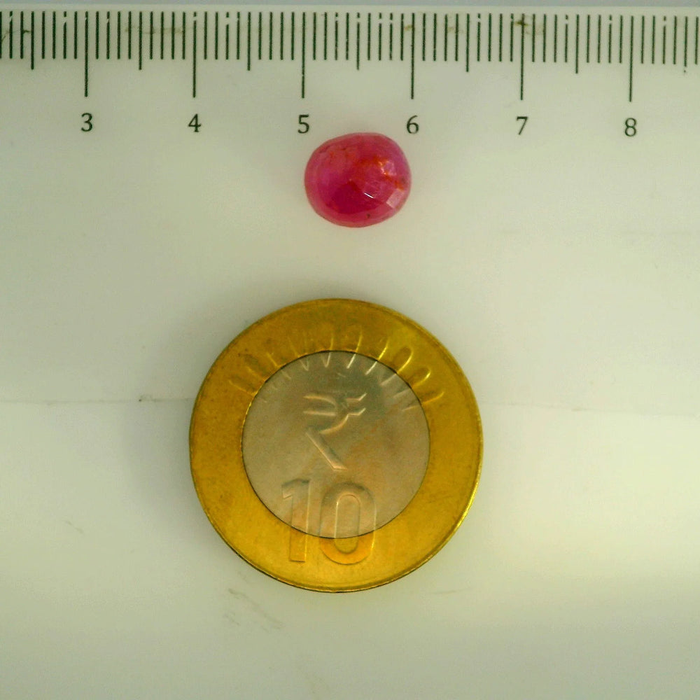 GFCO_39059_29_SCALE.webp