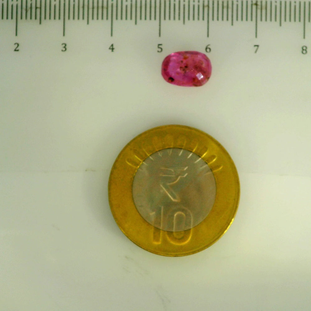 GFCO_39059_7_SCALE.webp