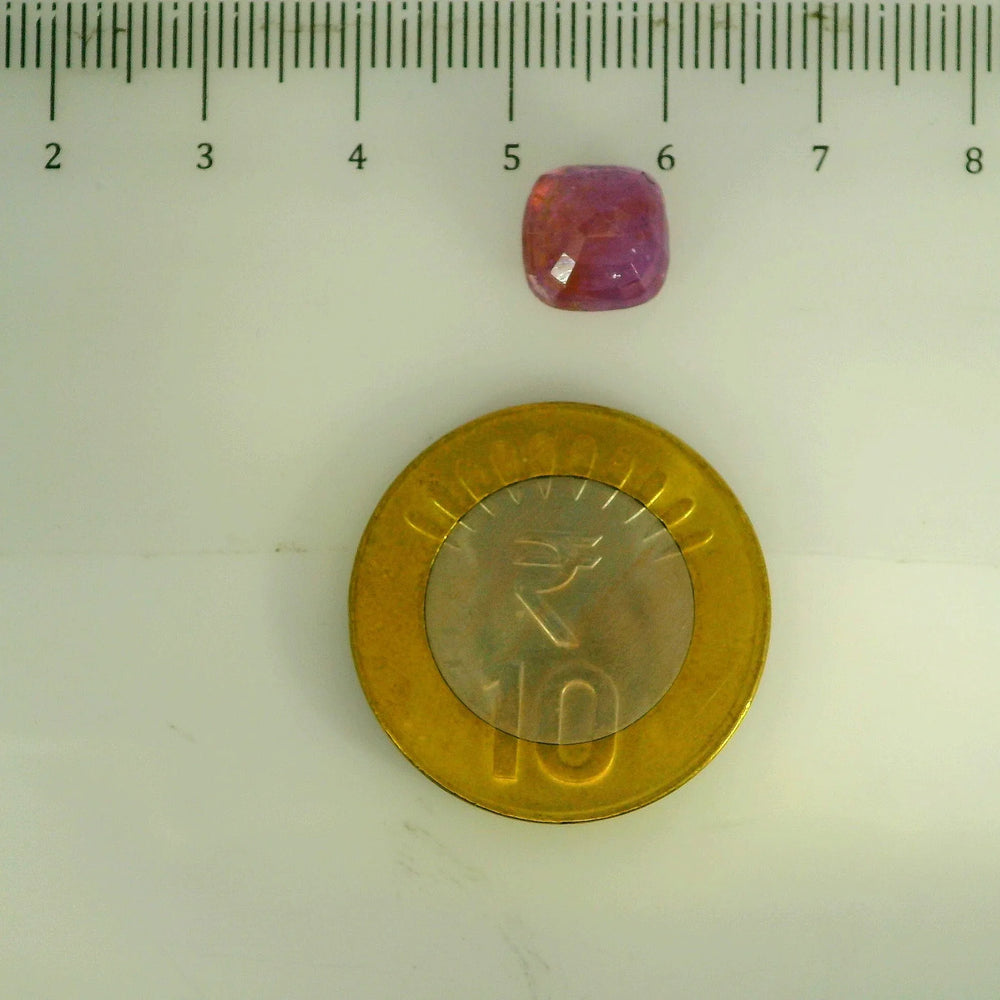 GFCO_39059_9_SCALE.webp