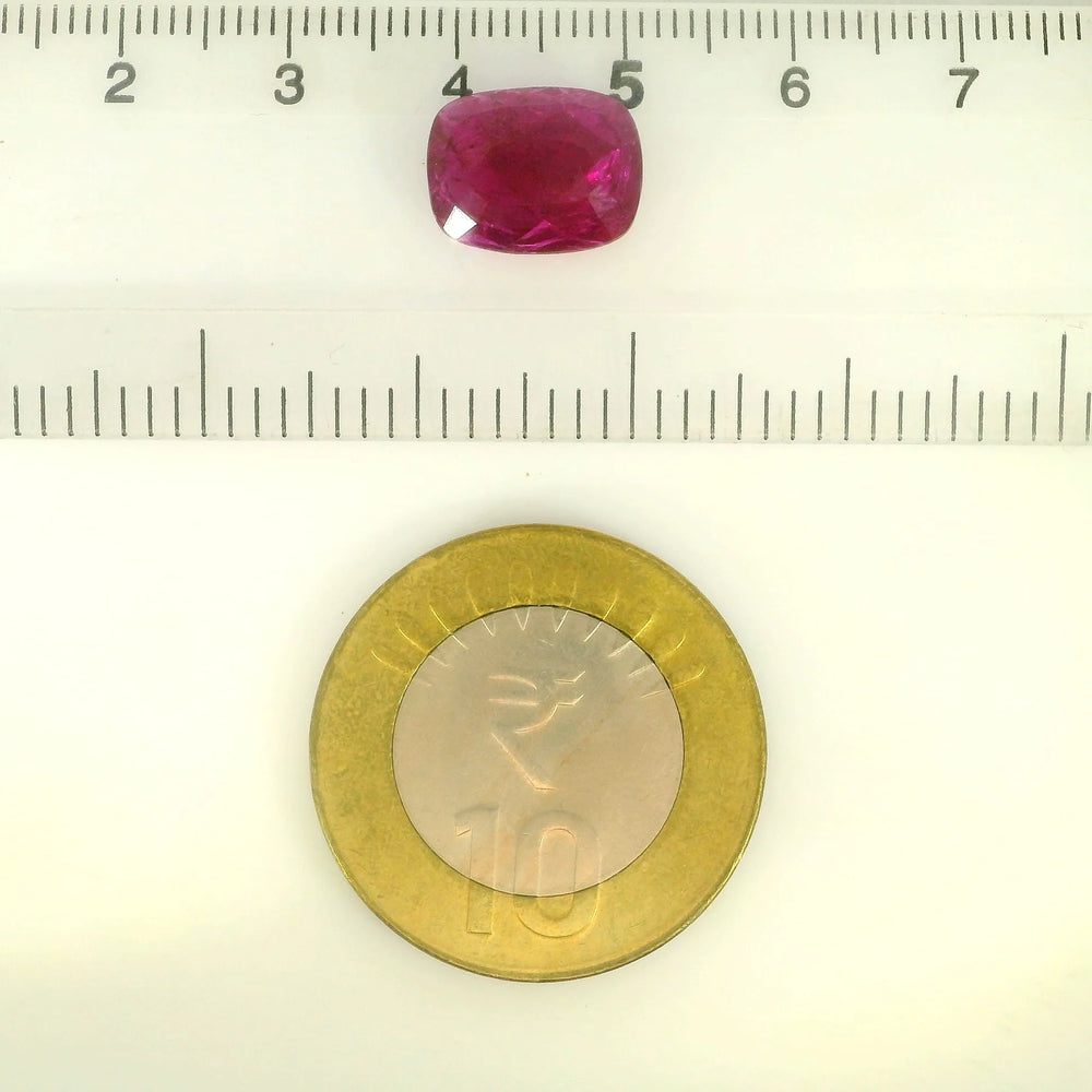 GSI_74531430101_SCALE.webp