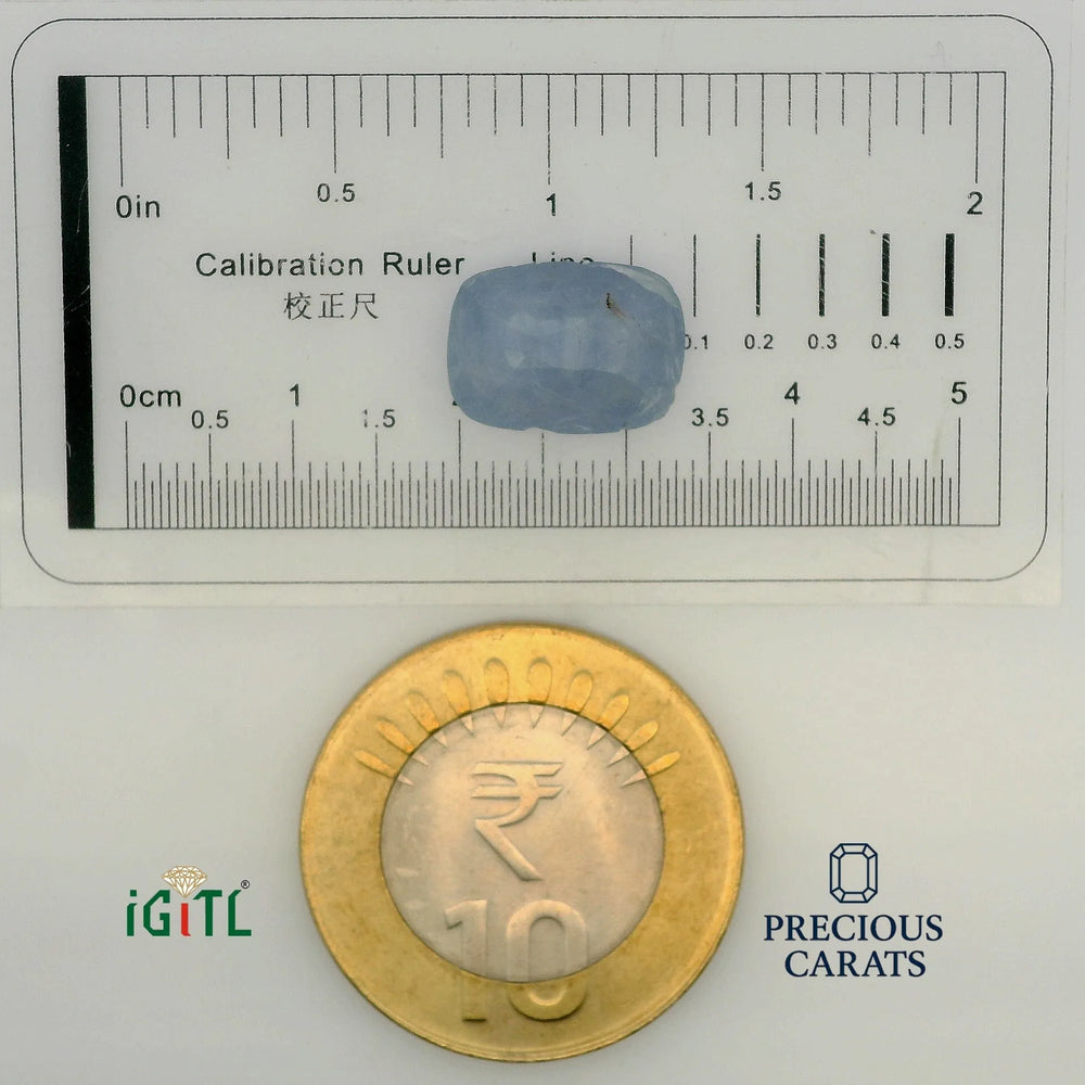 IGITL_194676_SCALE.webp