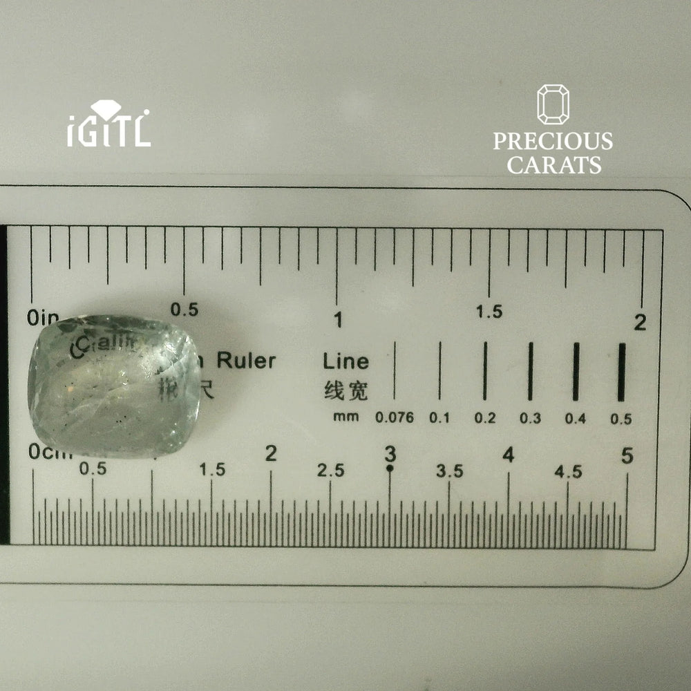 IGITL_194726_SCALE.webp