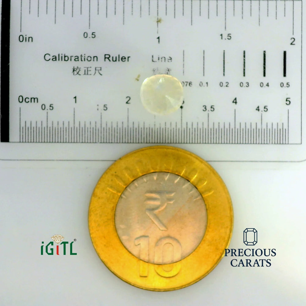 IGITL_197740_SCALE.webp