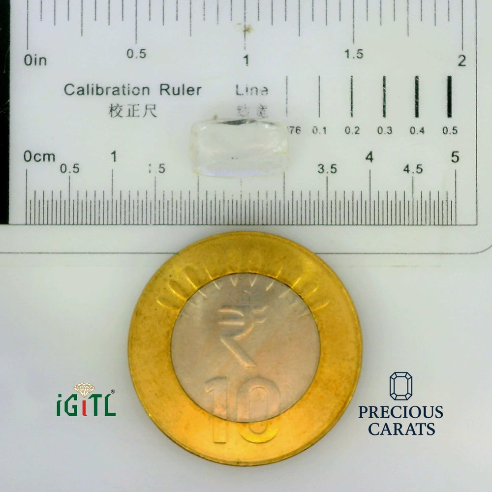IGITL_197794_SCALE.webp