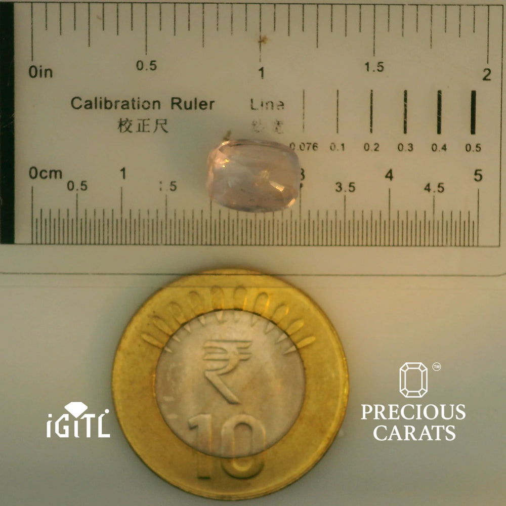 IGITL_197833_SCALE.webp