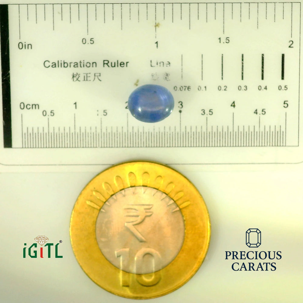 IGITL_197839_SCALE.webp