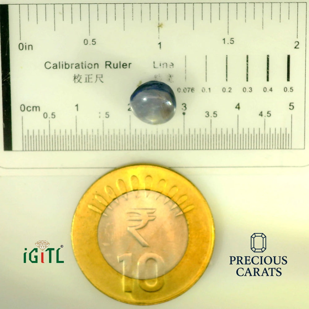IGITL_197842_SCALE.webp