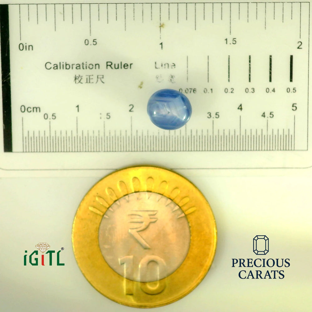 IGITL_197843_SCALE.webp