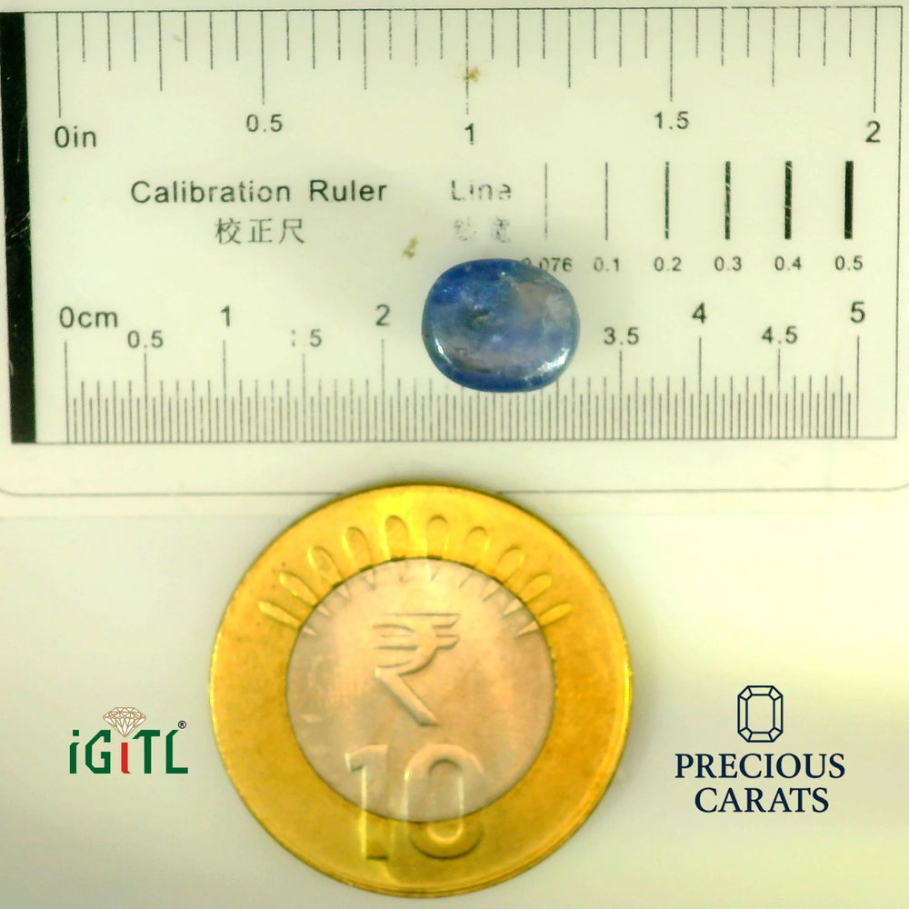 IGITL_197844_SCALE.webp