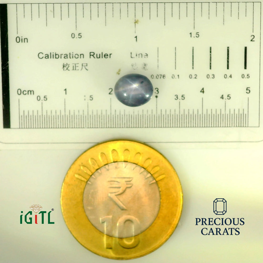 IGITL_197845_SCALE.webp
