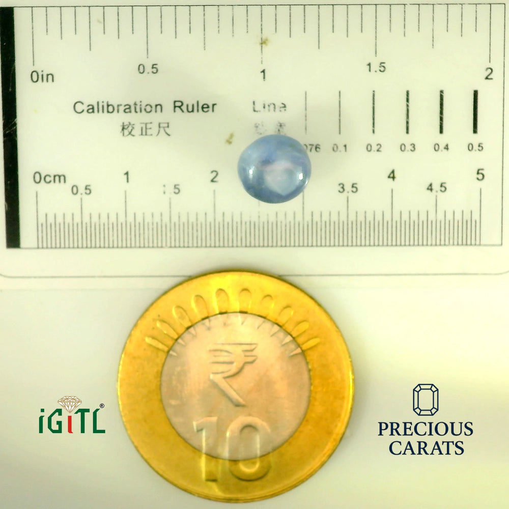 IGITL_197848_SCALE.webp