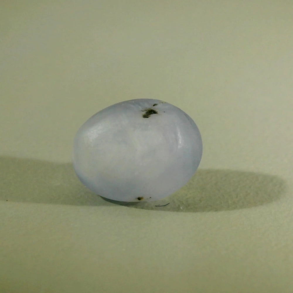 IGITL_197853_BACK.webp