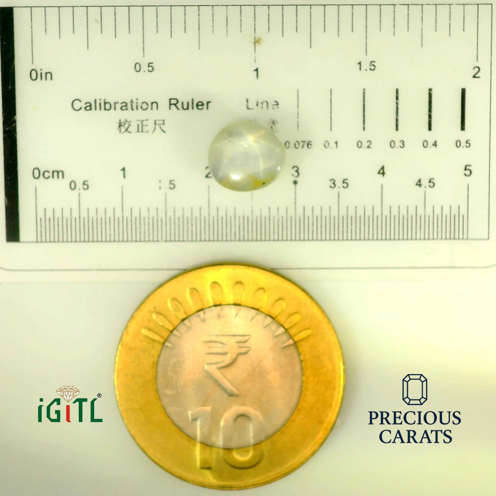 IGITL_197861_SCALE.webp