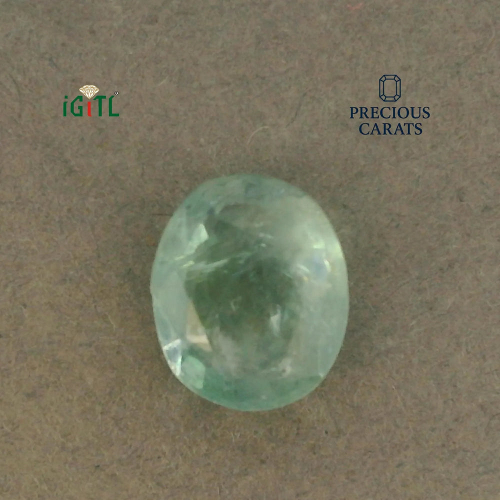 IGITL_200238_TOP.webp