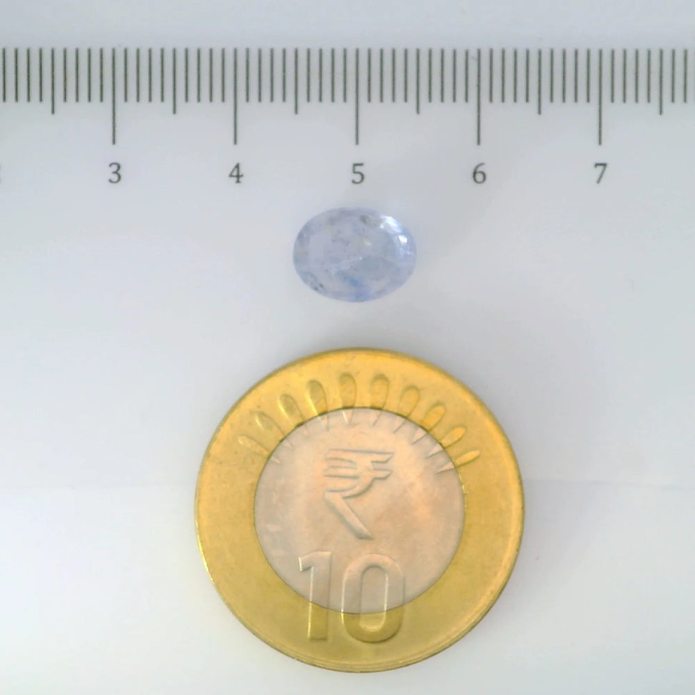 IGITL_200245_SCALE.webp