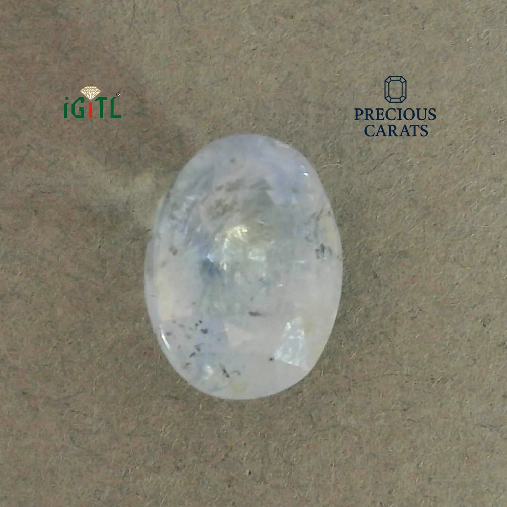 IGITL_200245_TOP.webp