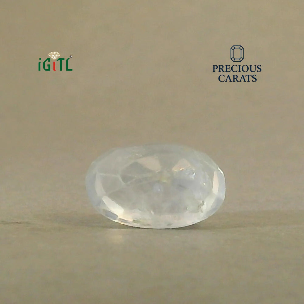 IGITL_200251_BACK.webp