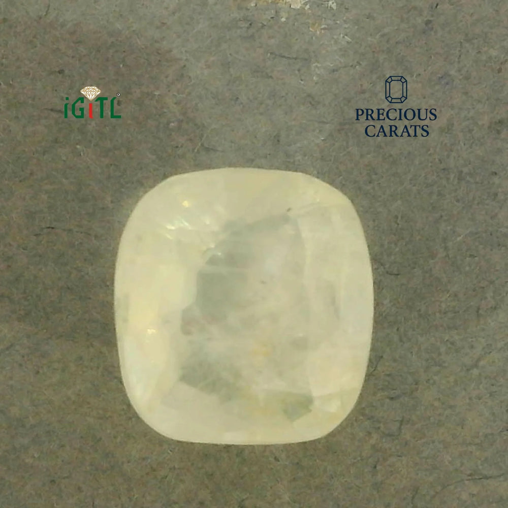 IGITL_200286_TOP.webp