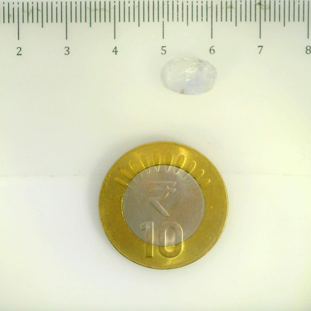 IGITL_200307_SCALE.webp