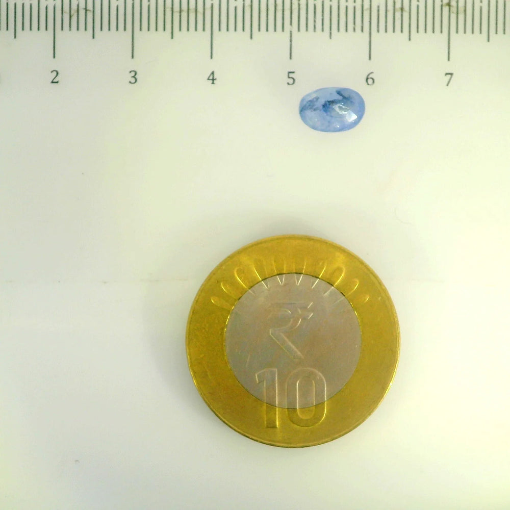 IGITL_200317_SCALE.webp