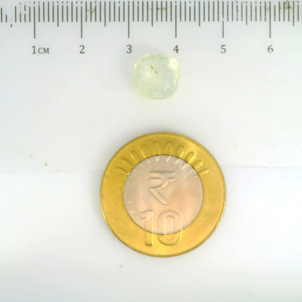 IGITL_201524_SCALE.webp