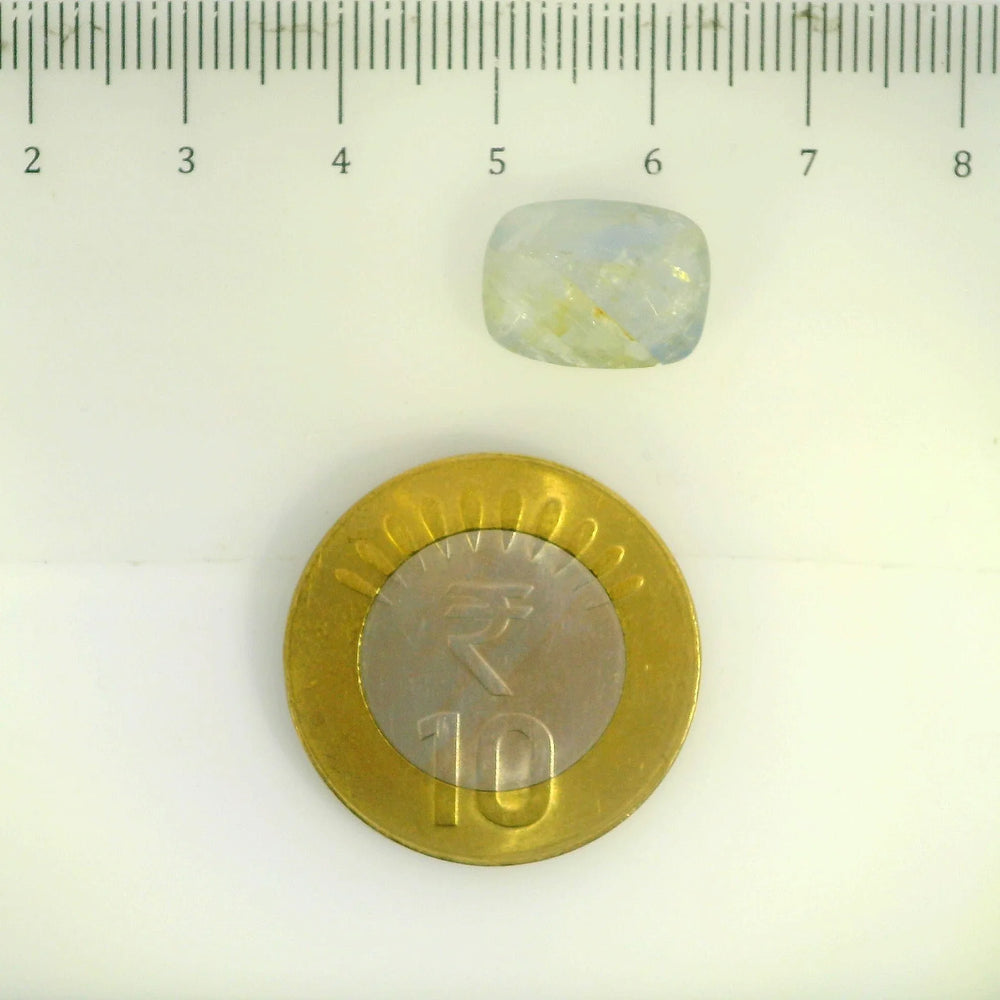 IGITL_201525_SCALE.webp