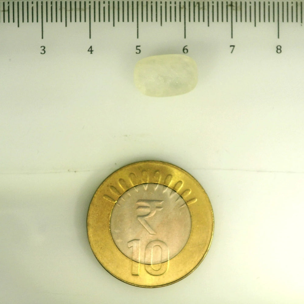 IGITL_201544_SCALE.webp