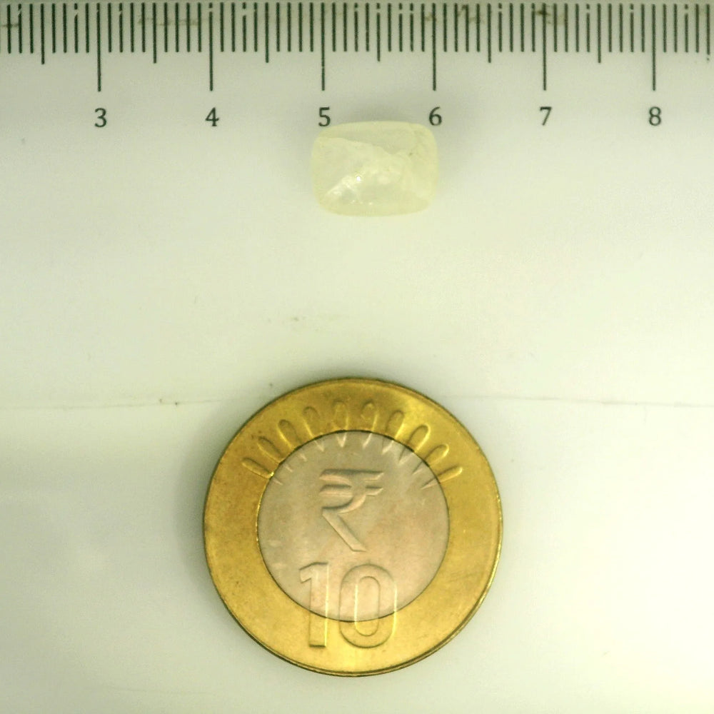 IGITL_201551_SCALE.webp
