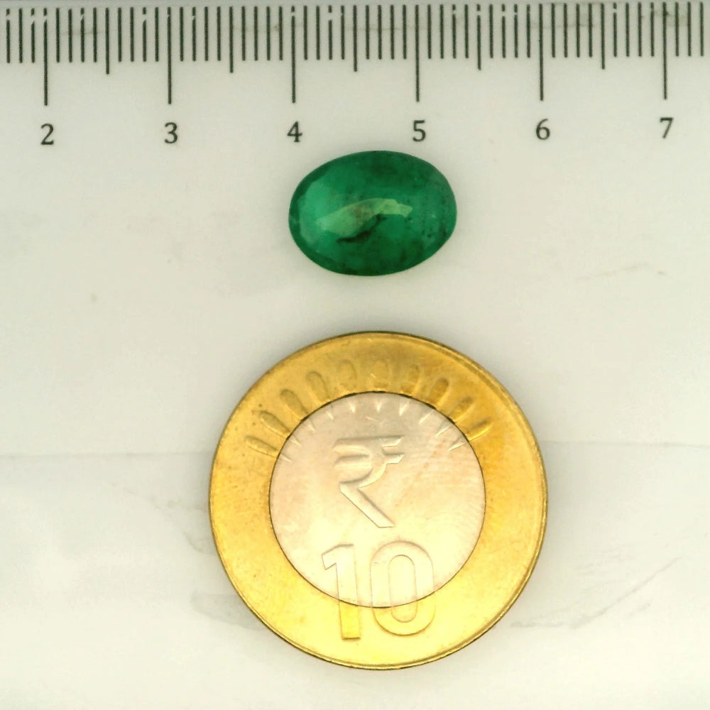 IGITL_203373_SCALE.webp