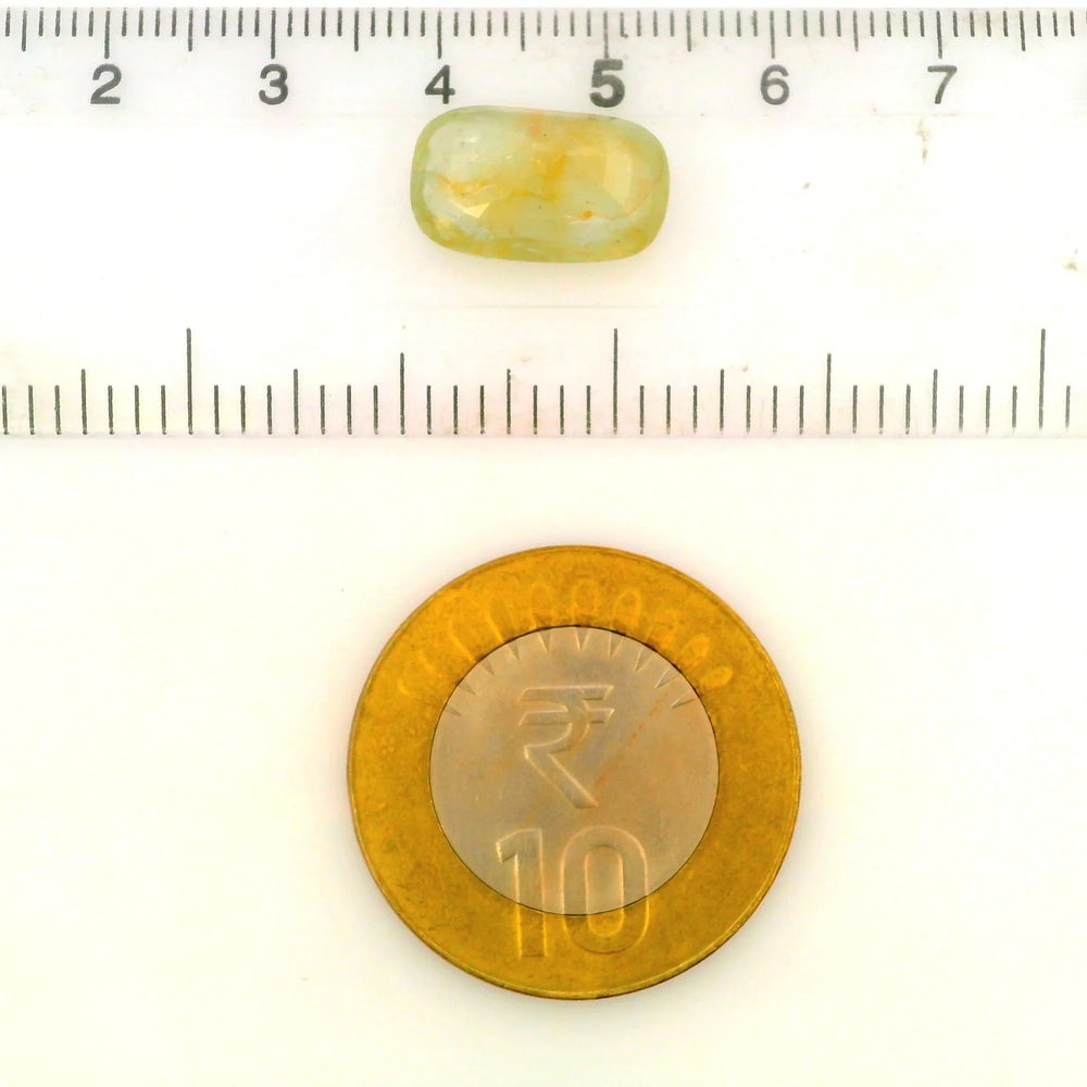 IGITL_205602_SCALE.webp