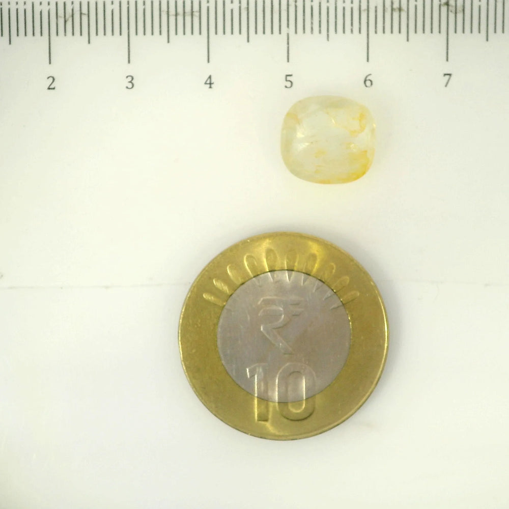 IGITL_205605_SCALE.webp