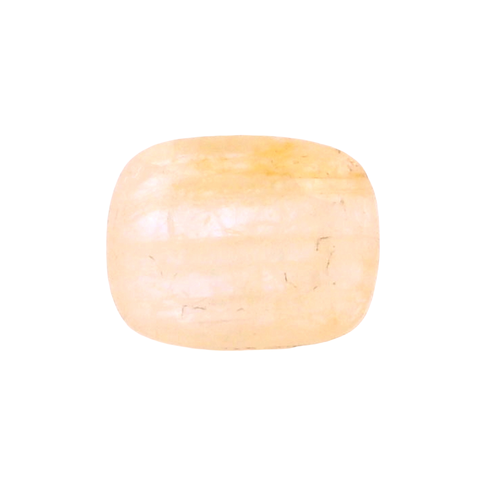 IGITL_205606_FRONT.png