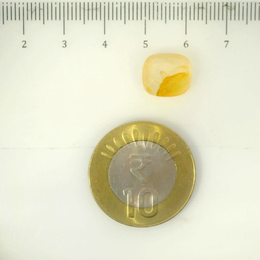IGITL_205613_SCALE.webp