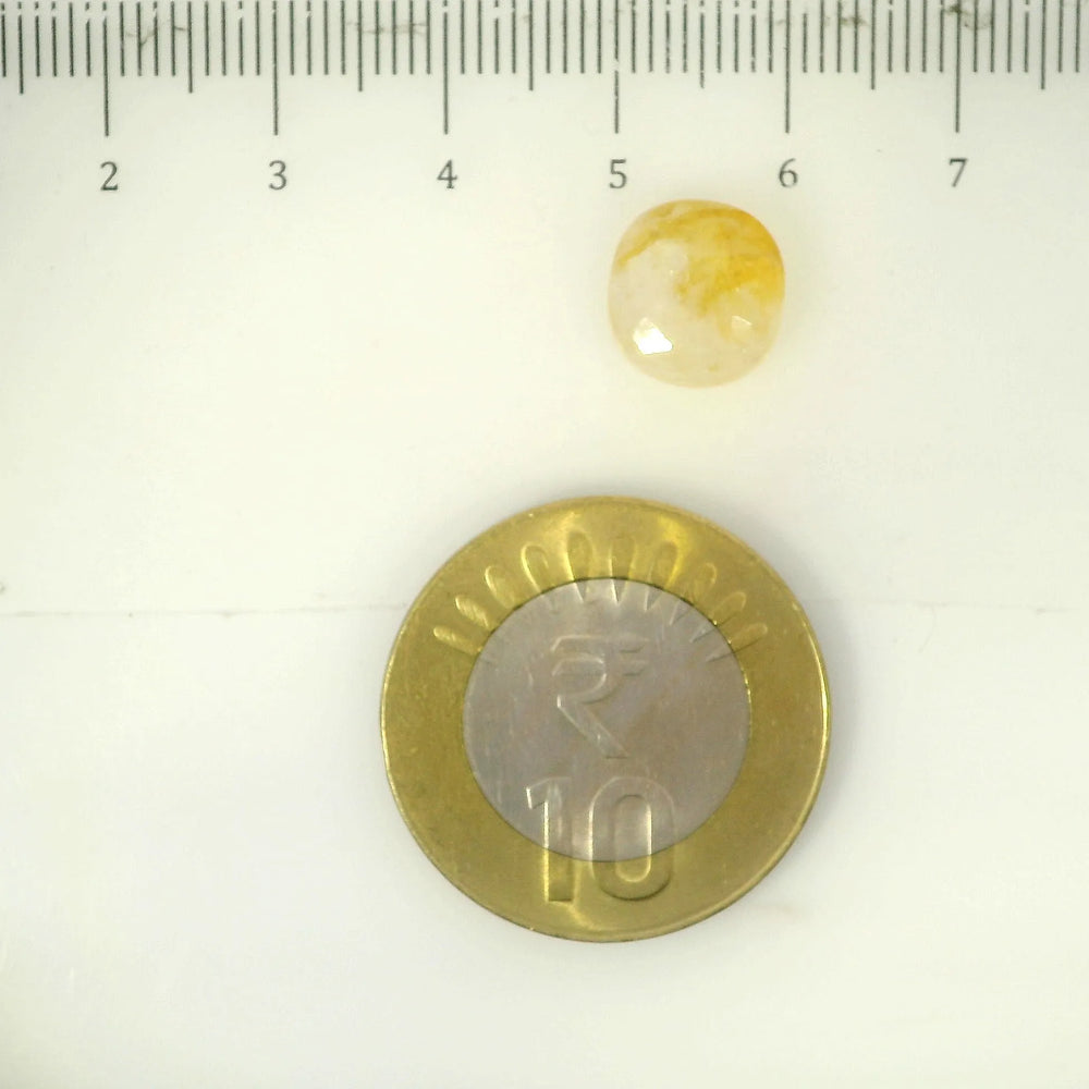 IGITL_205615_SCALE.webp