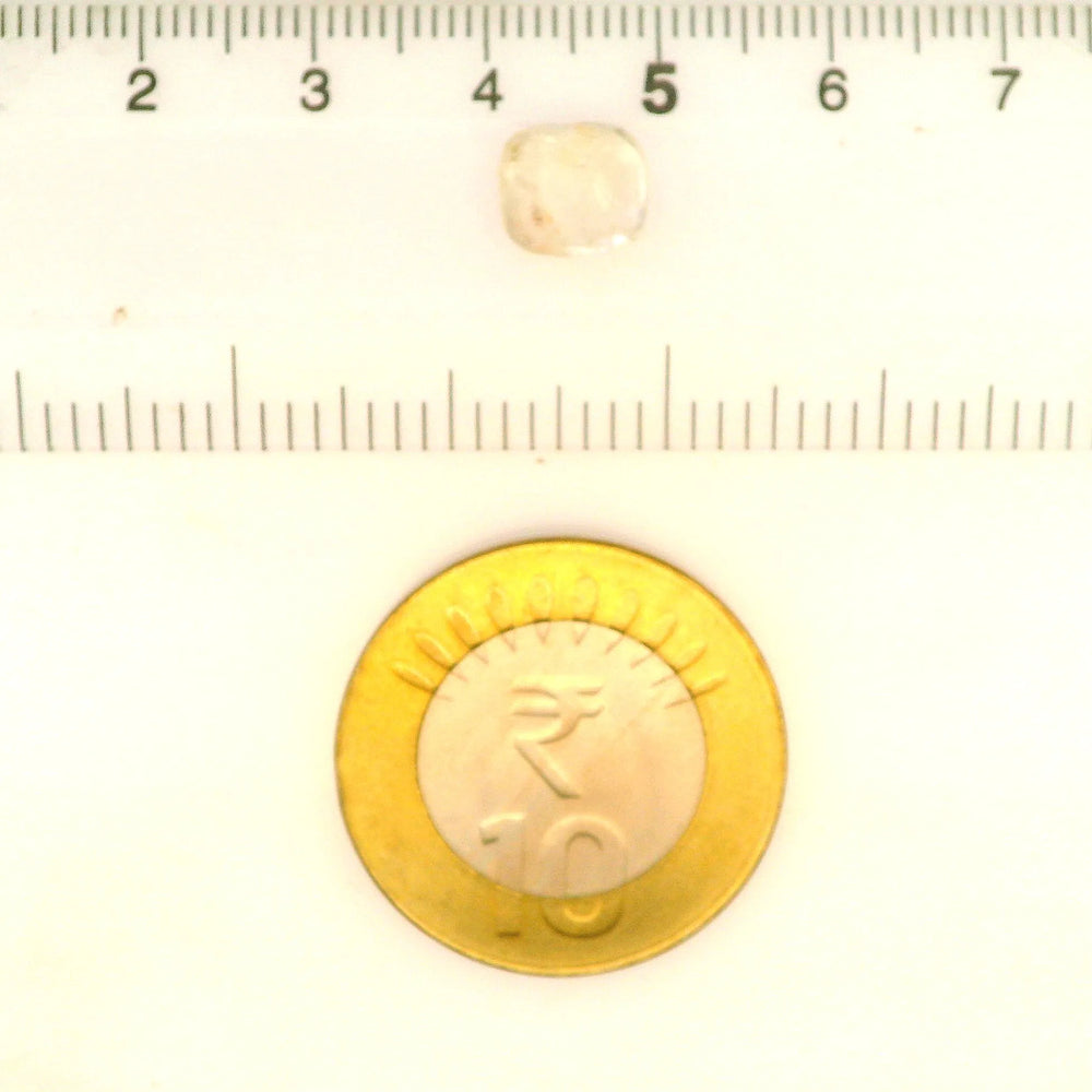IGITL_211679_SCALE.webp