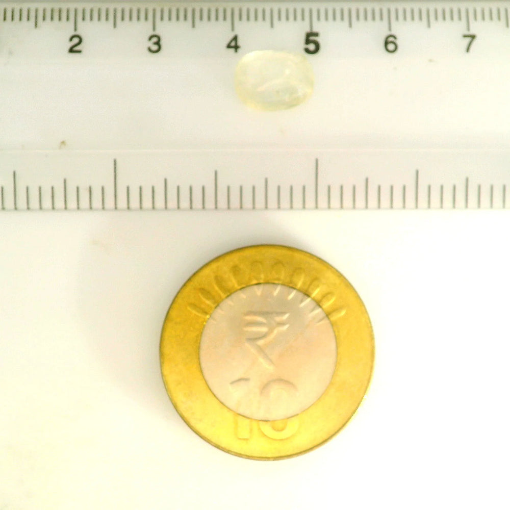 IGITL_211683_SCALE.webp