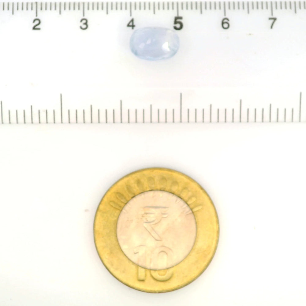 IGITL_211699_SCALE.webp
