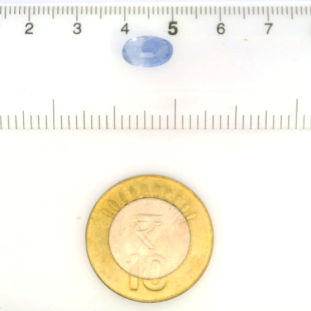 IGITL_211730_SCALE.webp