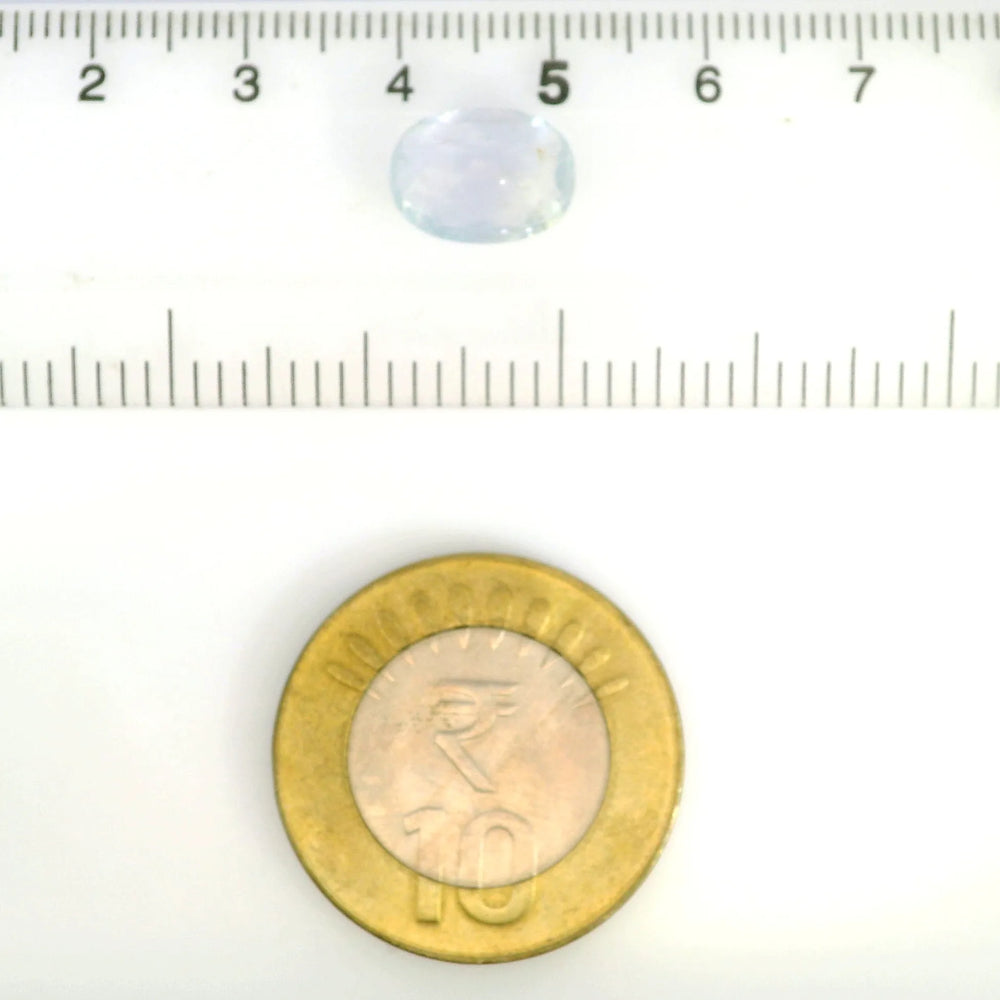 IGITL_211738_SCALE.webp