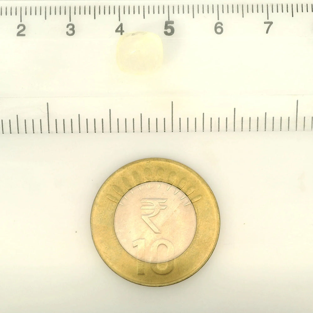 IGITL_211785_SCALE.webp