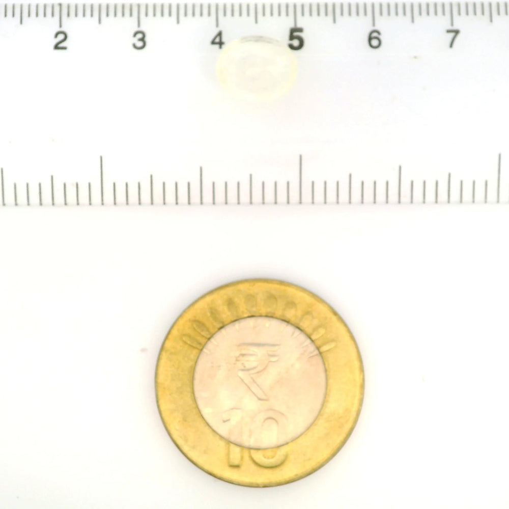 IGITL_211791_SCALE.webp