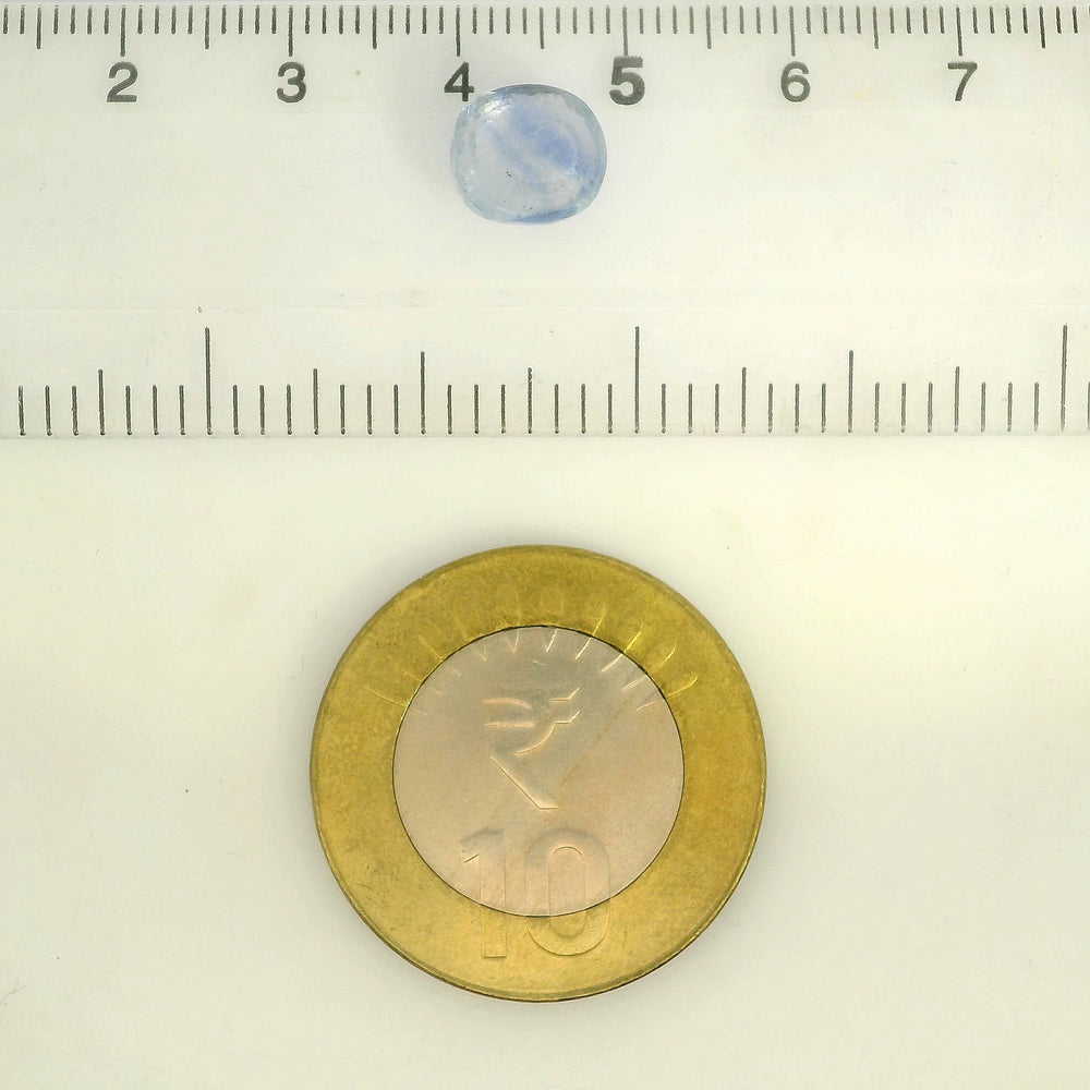IGITL_211796_SCALE.webp